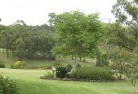 Argoon NSWresidential-landscaping-40.jpg; ?>